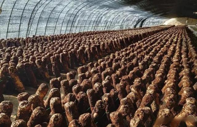 1648108777194029.jpeg 09-15-36-73-283825.jpeg