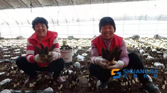 1649381263959147.jpg 11-22-53-18-283825.jpg