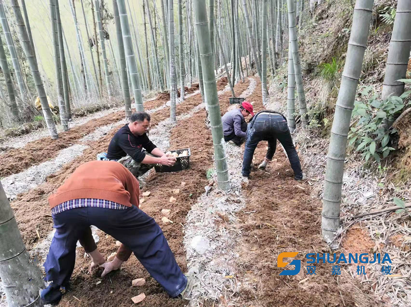 1649815698987878.png 11-57-30-39-283825.png