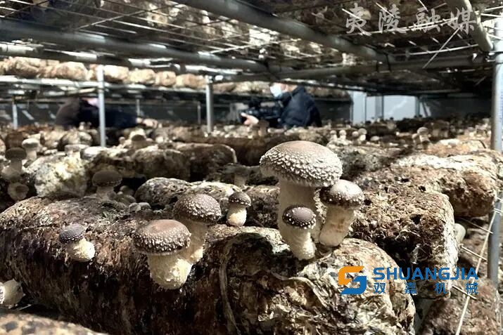 1649815997948424.jpg 17-03-22-64-457814.jpg