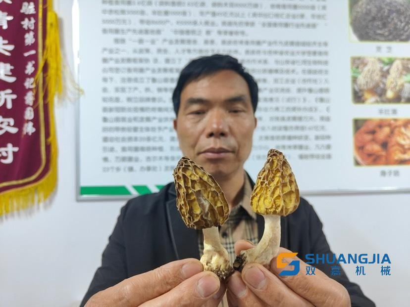 1650332771175501.jpg 15-35-32-15-283825.jpg