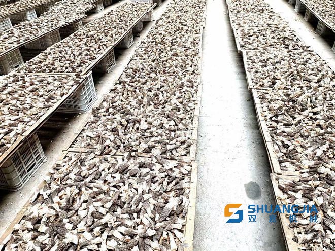 1652148629531745.jpg 09-32-18-68-283825.jpg