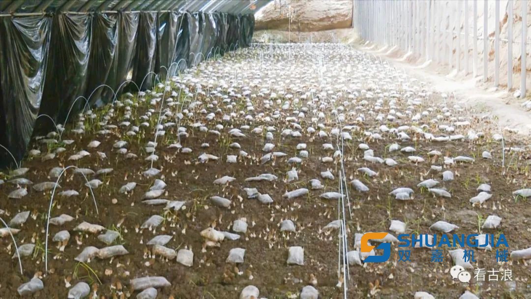 1652663494165567.jpg 08-50-20-75-283825.jpg