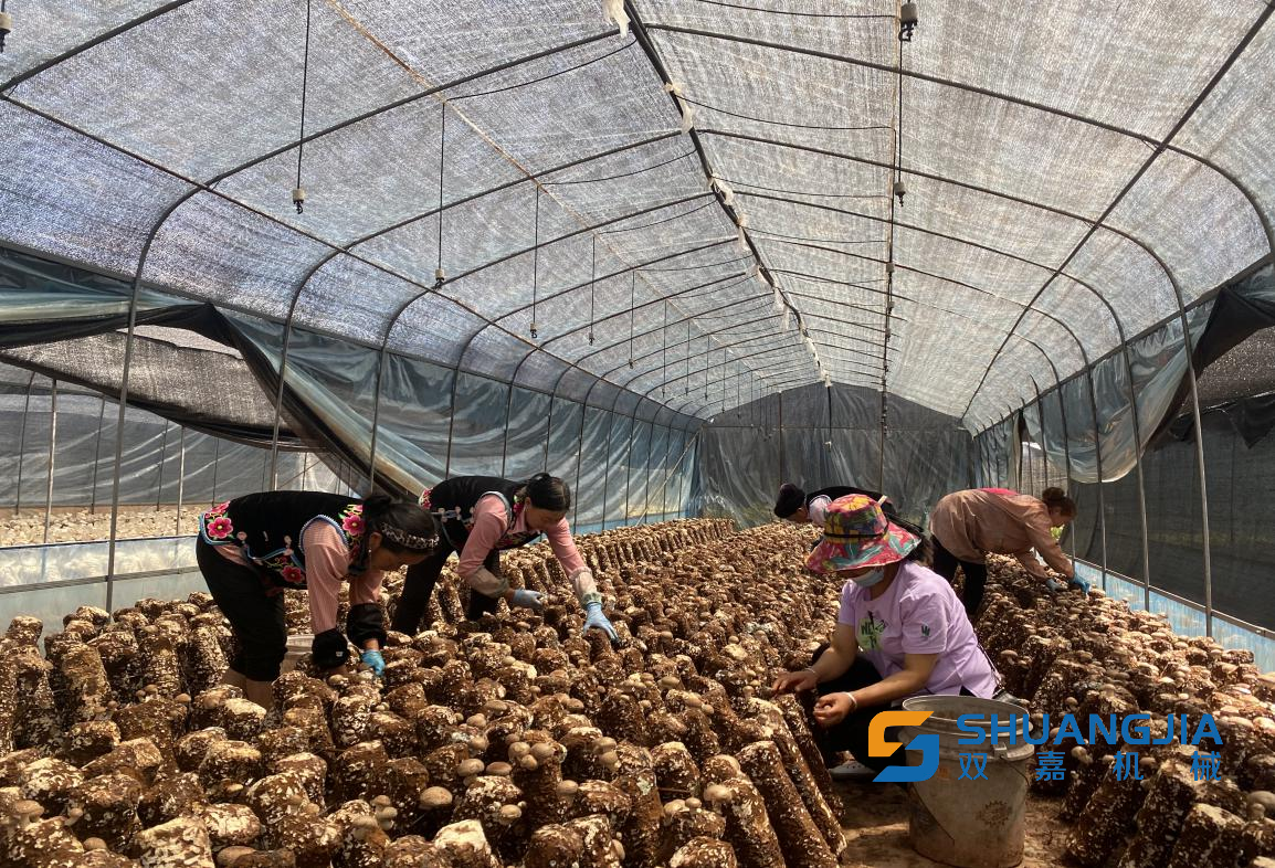 1652752192763236.png 11-24-18-37-283825.png