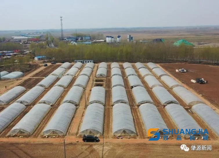 1652752330151473.jpg 16-30-58-11-283825.jpg