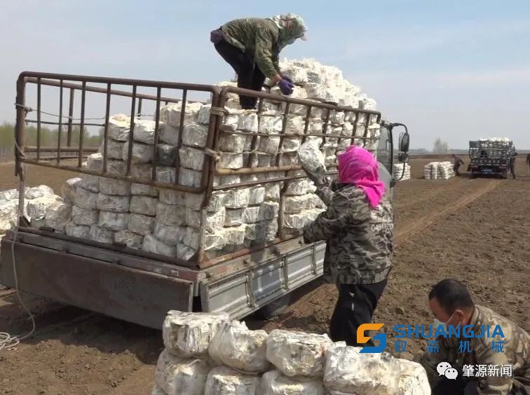 1652752346896772.jpg 16-31-18-75-283825.jpg