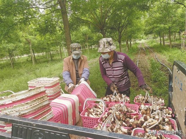 1653099084211733.jpeg 10-04-32-38-283825.jpeg