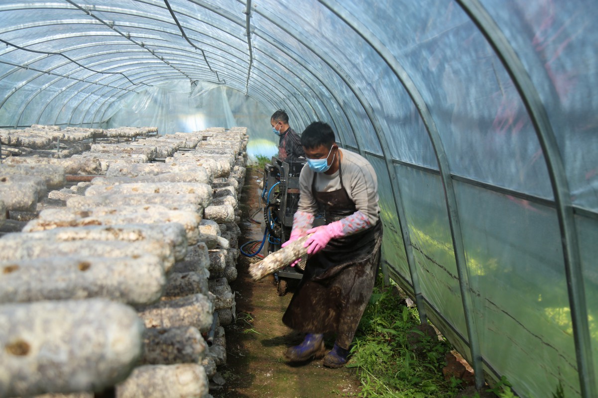 1654740196151073.jpeg 16-22-07-35-283825.jpeg