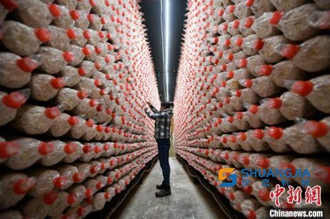 1654909833758011.jpg 08-52-10-97-283825.jpg