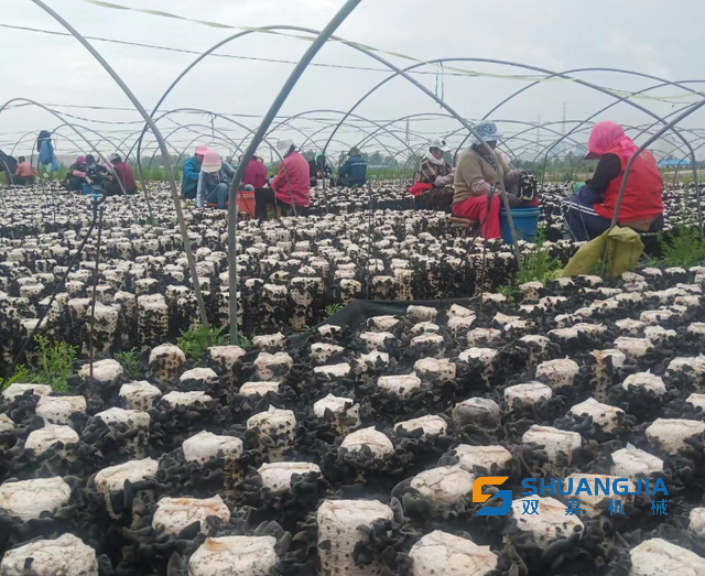 1655519260194171.png 15-15-13-16-283825.png