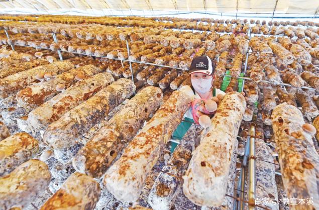 1656553360202642.jpeg 16-35-13-60-283825.jpeg