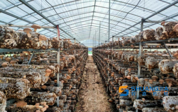 1658367902368360.png 09-17-34-24-283825.png