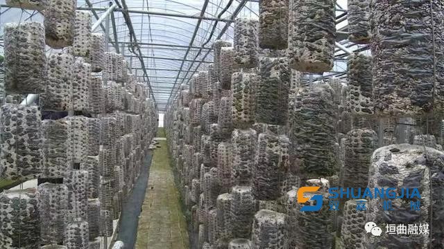 1658627368132073.jpg 17-05-23-95-283825.jpg