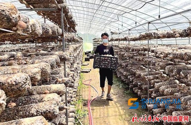 1660528926470251.jpg 09-03-24-56-283825.jpg