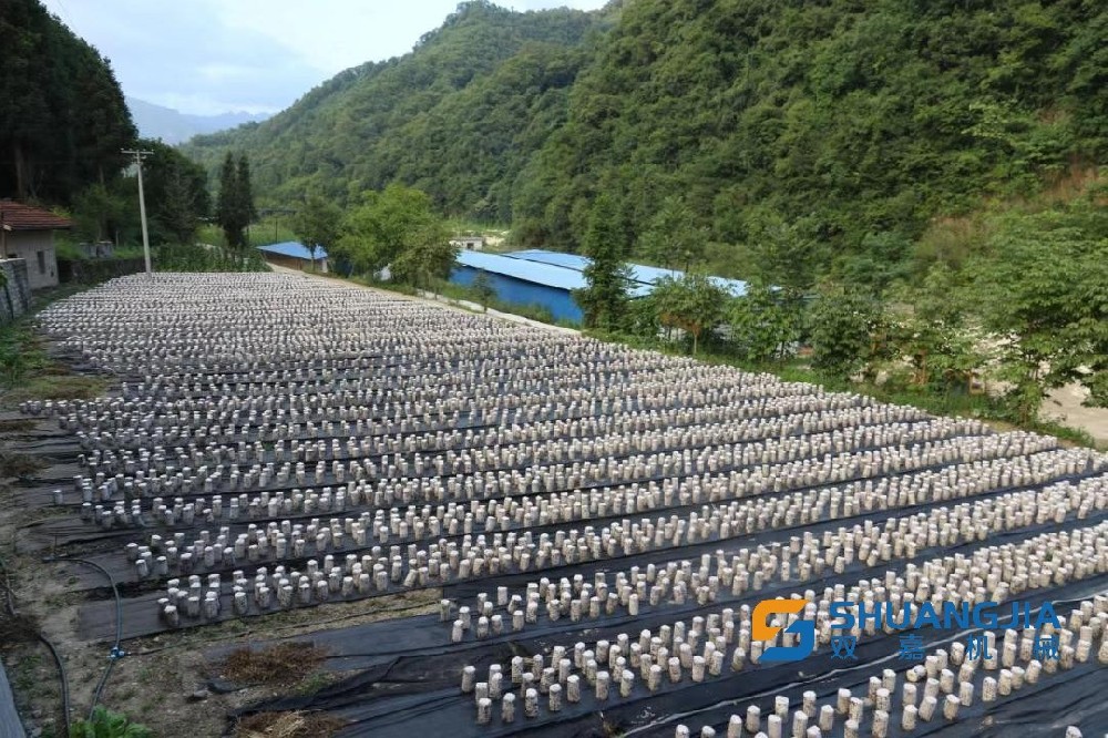 1661401550124637.jpg 17-21-38-78-283825.jpg