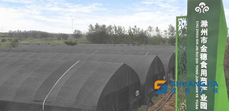 1683786807207244.jpg 09-47-05-20-283825.jpg