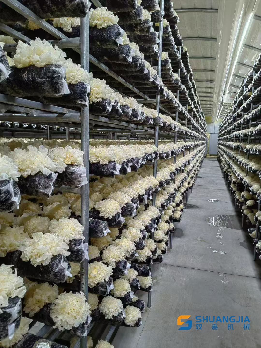 1772713503284838.jpg 微信图片_20260305202227.jpg