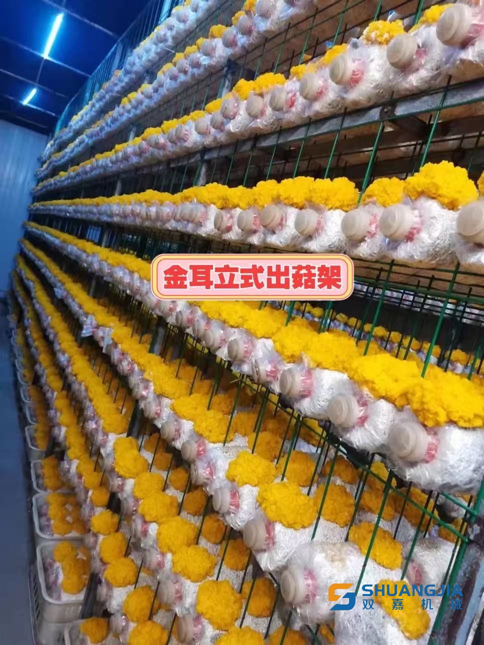 1772713599907673.jpg 微信图片_20260305202231.jpg