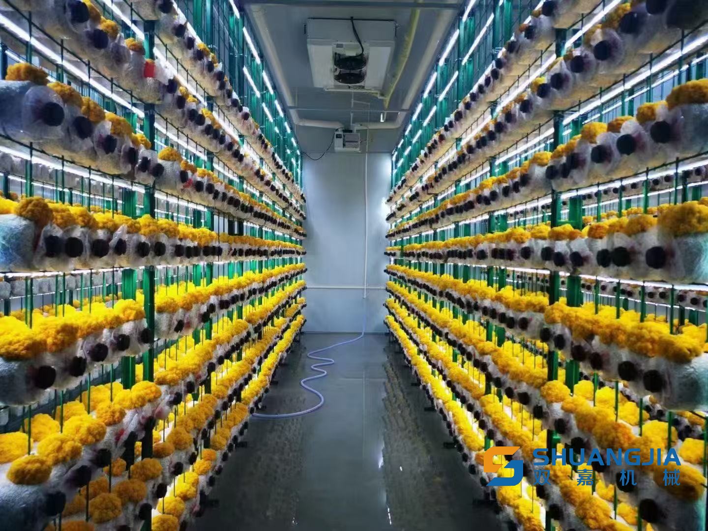 1772713812997258.jpg 微信图片_20260305202958.jpg